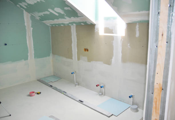 Best Basement Mold Removal  in Daniels, WV
