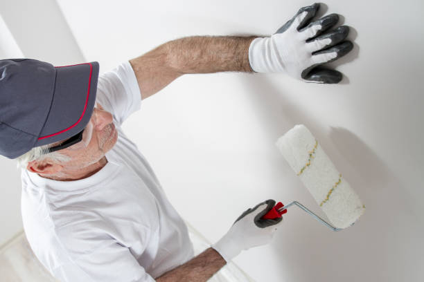 Best Attic Mold Removal  in Daniels, WV