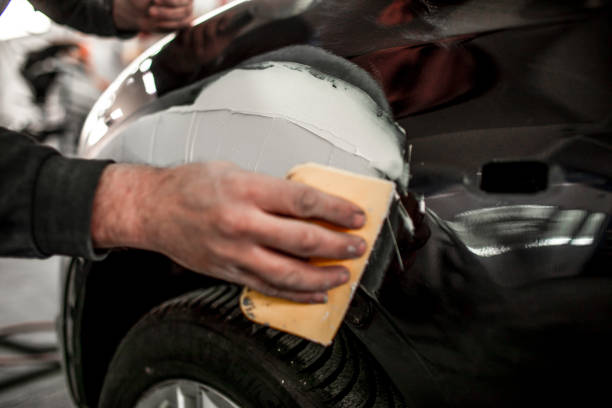 Best Forensic Mold Investigation  in Daniels, WV
