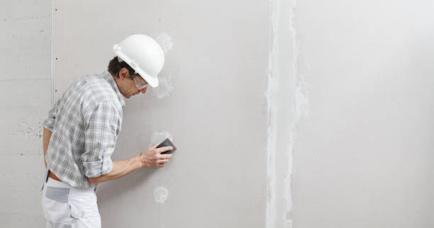 Best Mold Damage Restoration  in Daniels, WV