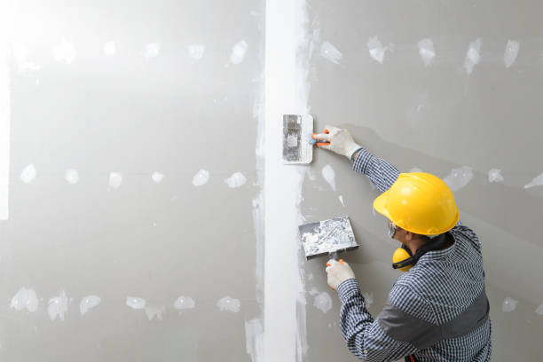 Best Comprehensive Air Testing for Mold Contaminants  in Daniels, WV