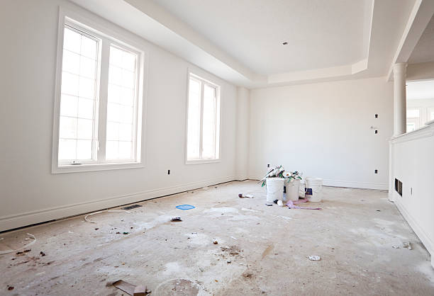 Best Black Mold Removal  in Daniels, WV