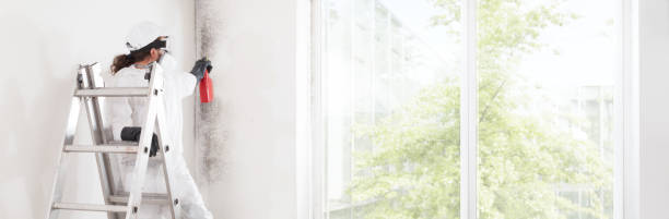 Best Mold-Related Health Consultation  in Daniels, WV